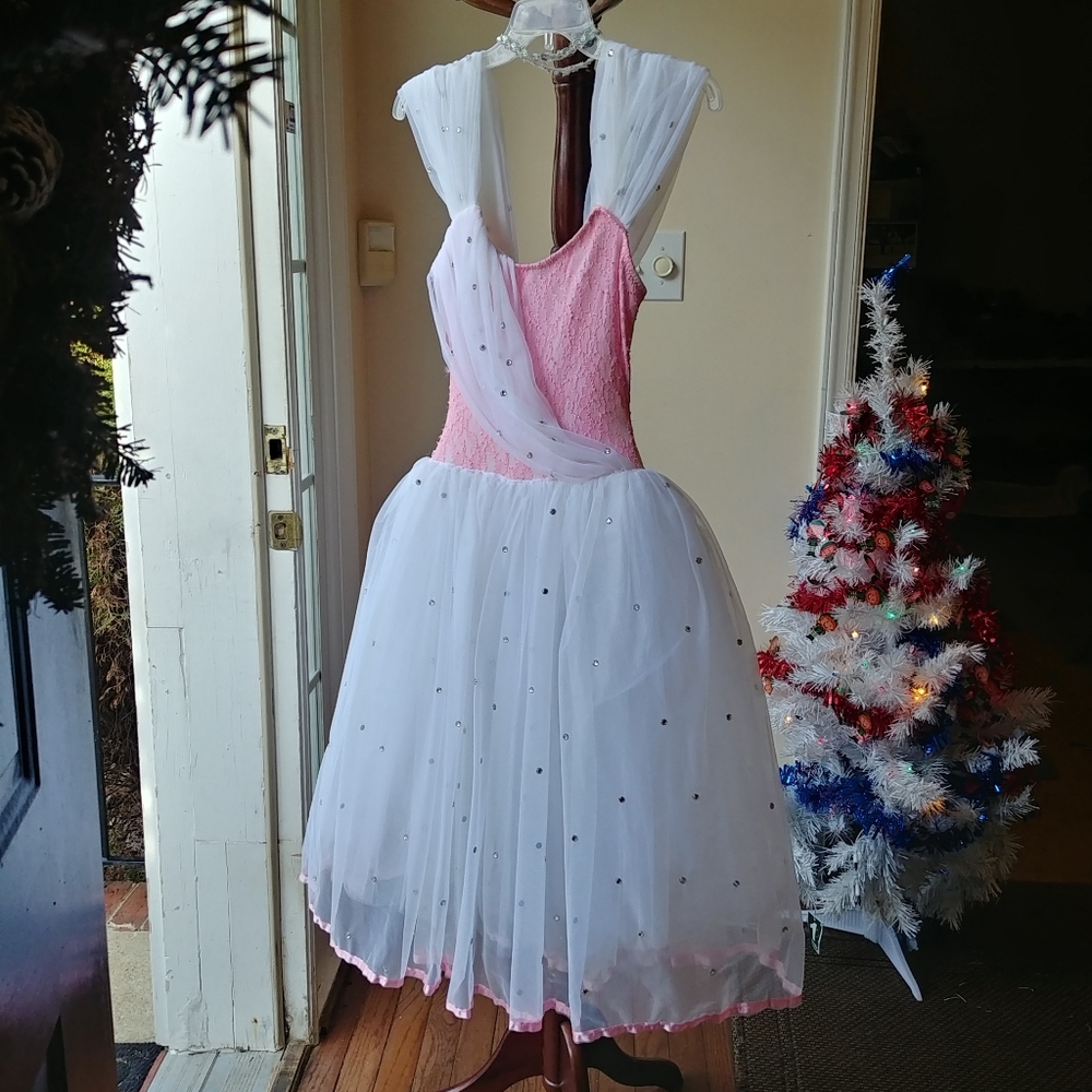 Star Styled, Adult M, Cinderella, Princess, Ballet Dance Dress, Costume